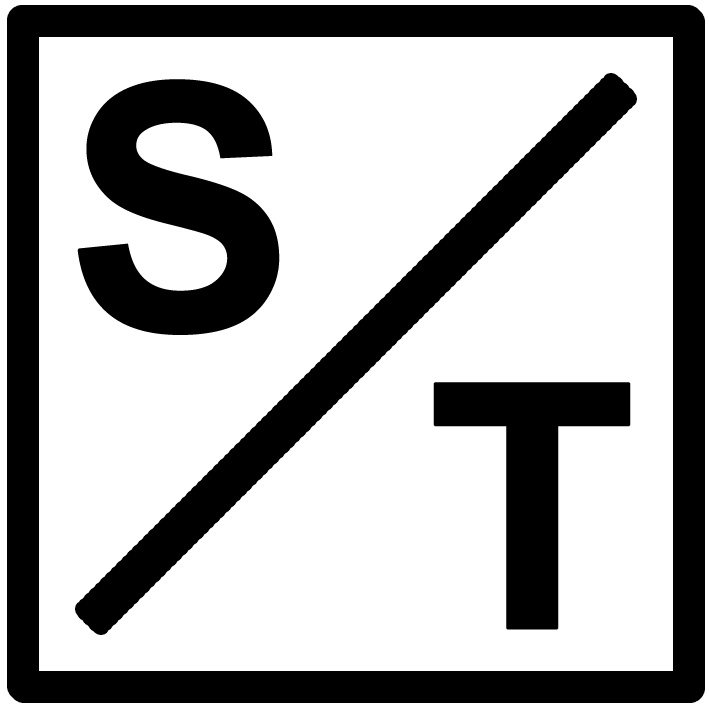 Shinsei Technology Logo